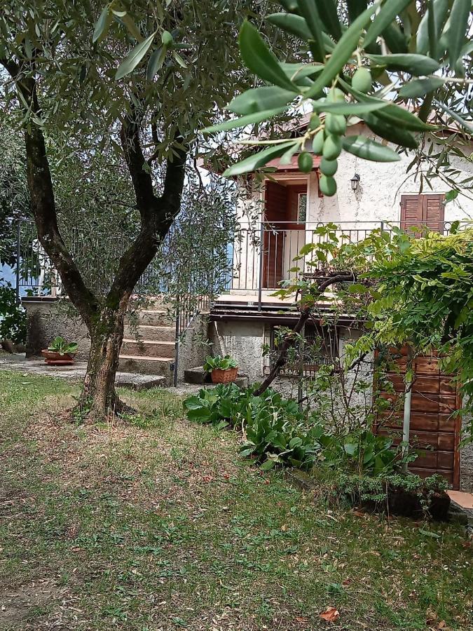 شقة Olive Grove House مالتشيزينيه المظهر الخارجي الصورة