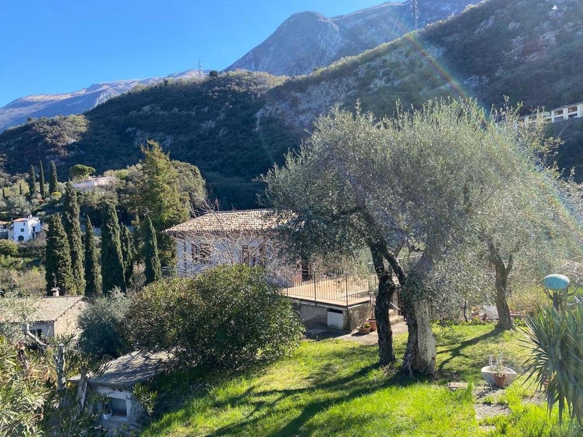 شقة Olive Grove House مالتشيزينيه المظهر الخارجي الصورة