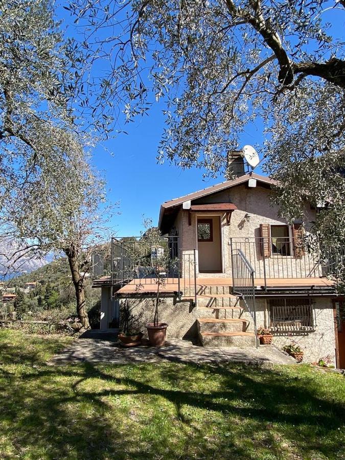 شقة Olive Grove House مالتشيزينيه المظهر الخارجي الصورة