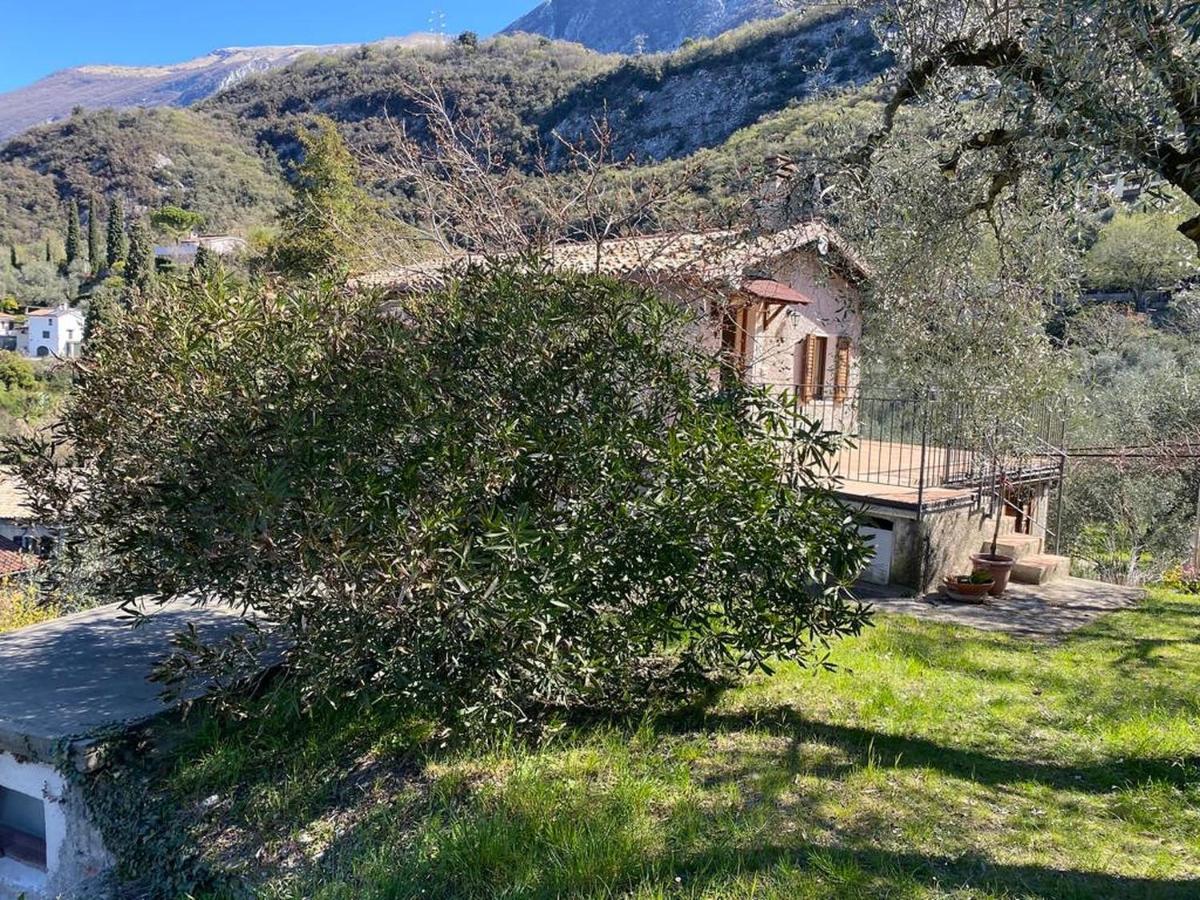 شقة Olive Grove House مالتشيزينيه المظهر الخارجي الصورة