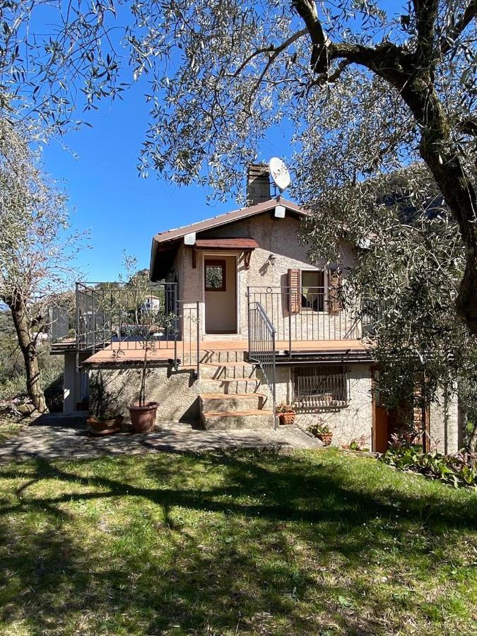شقة Olive Grove House مالتشيزينيه المظهر الخارجي الصورة
