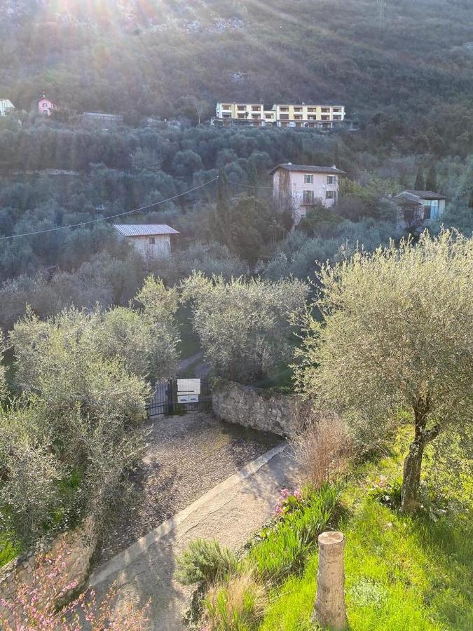 شقة Olive Grove House مالتشيزينيه المظهر الخارجي الصورة