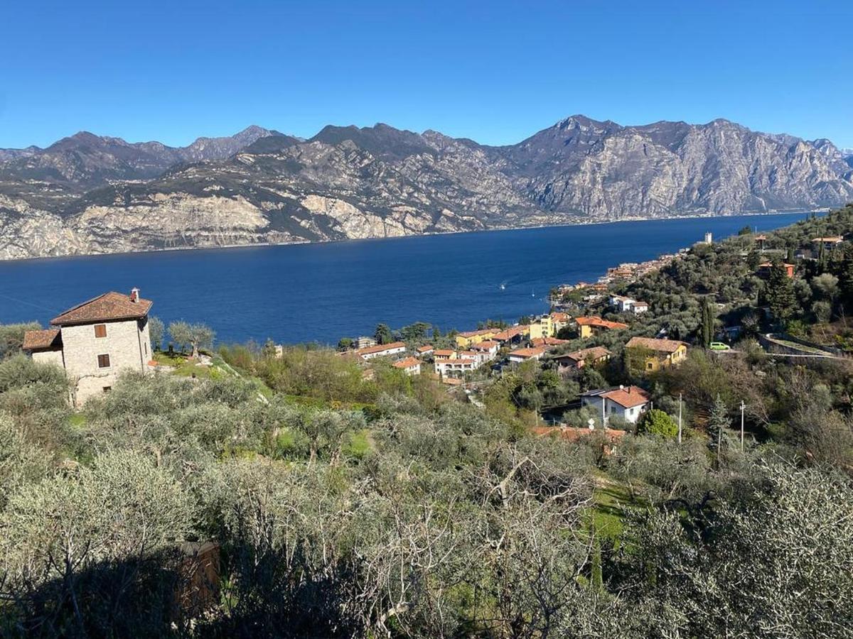 شقة Olive Grove House مالتشيزينيه المظهر الخارجي الصورة